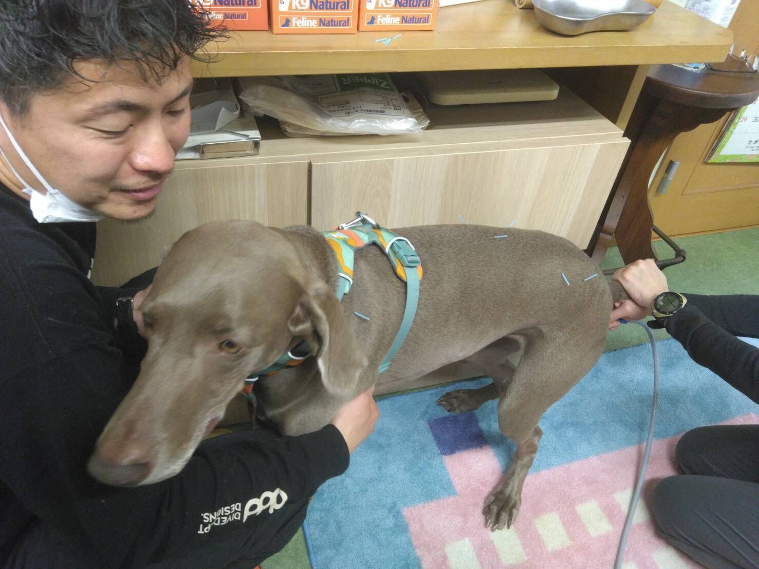 特徴