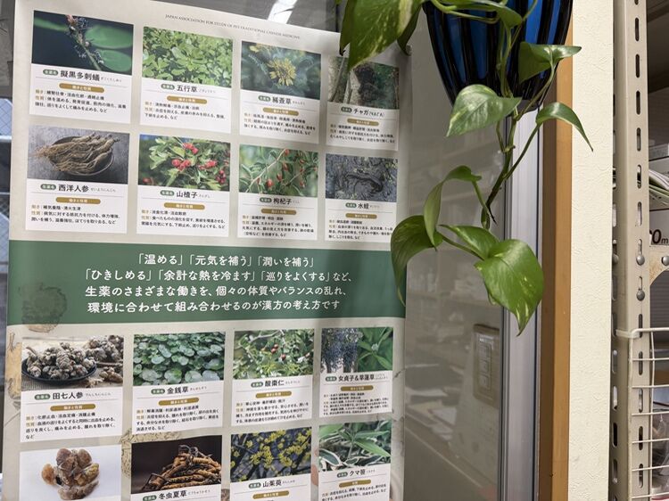 自然療法