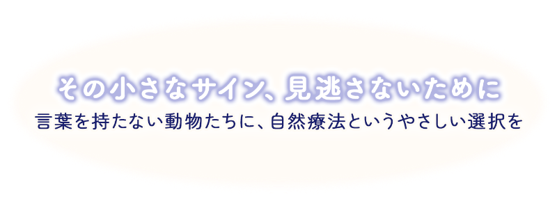 言葉を持たない動物たちに、東洋医学というやさしい選択を